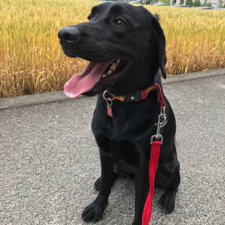 A291e9bb 38c5 4f2e 84ec f7cda0a1d365