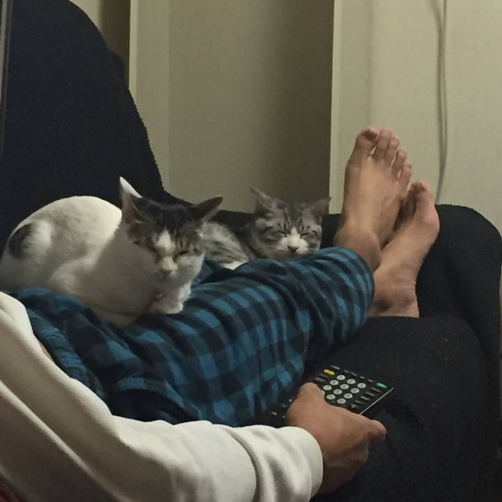 A292088a fd9b 40bb 9faf 1641e7c897d4