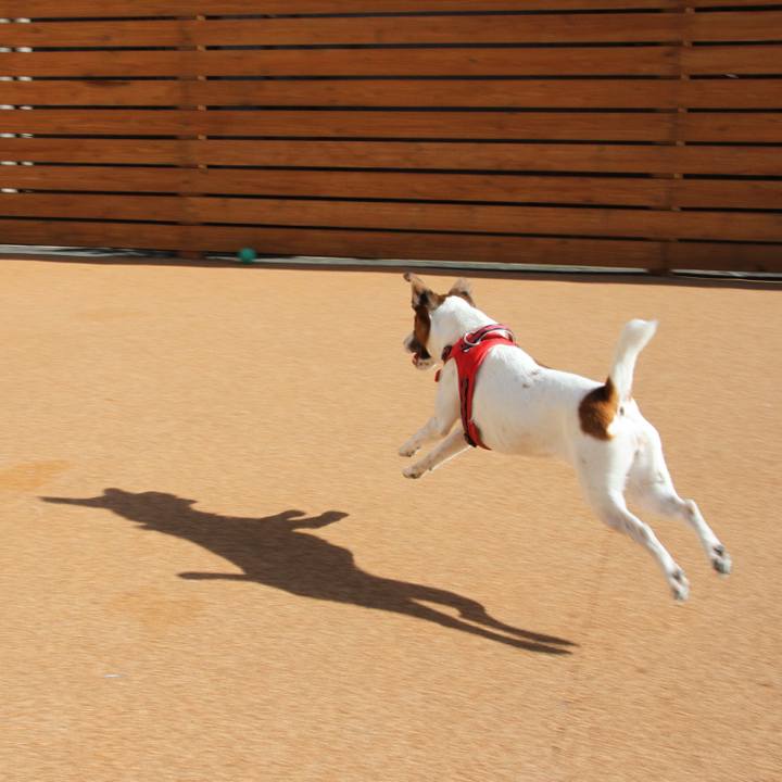 A2920ad6 3972 4fb3 bef7 8c4684641e89