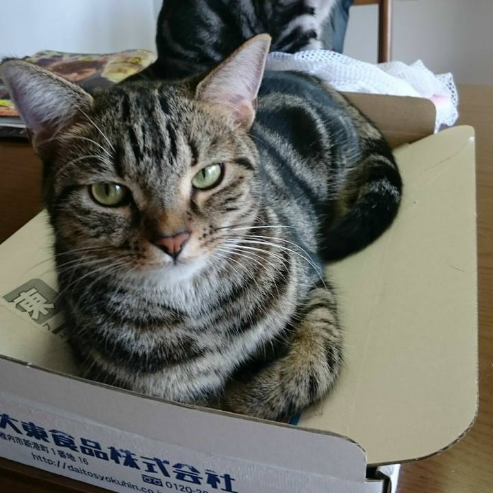 A292192d 2373 470e ae5f 27b9a82816e1