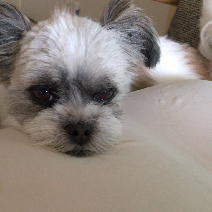 A2923294 8ec9 43ba b8bc 3df80b00f043