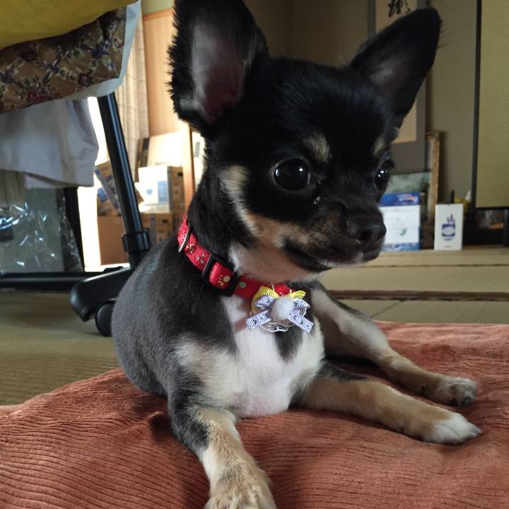 A2935eba 70cf 49f0 910d b752f493abe1