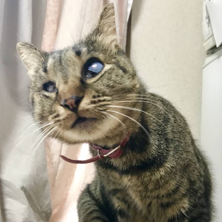 A293bd4b 6814 47a4 9580 949c5426a933