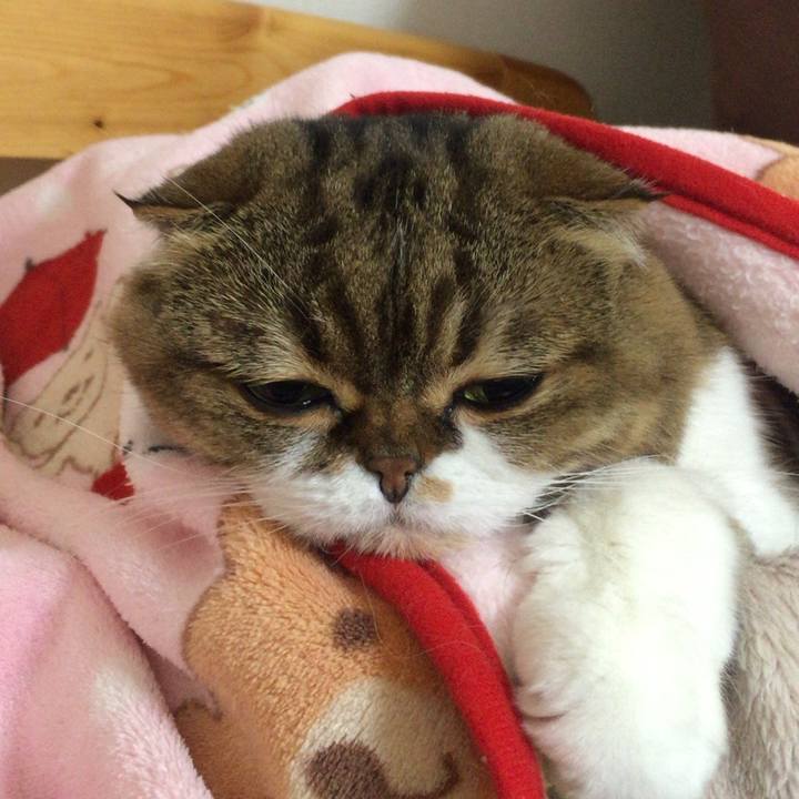 A2946703 bc45 4152 8f06 362bb6cddf6f