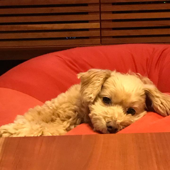 A294942a dbfa 459f a792 c7a920e5f3a8