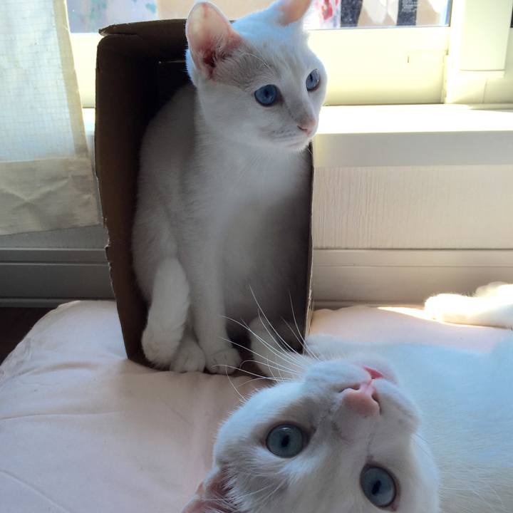 A295ac57 d359 4785 8062 d2b8cea83996