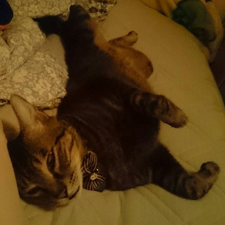 A295c859 5da2 42e1 825e 2fae3150aa6f