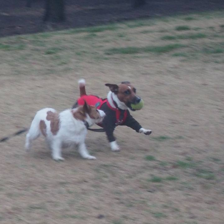 A2967052 2800 41db 9444 67157600e1b4