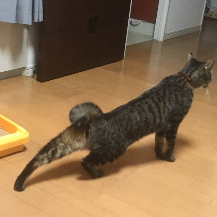 A296bd81 f500 4870 891c 2bfbb3c05e39