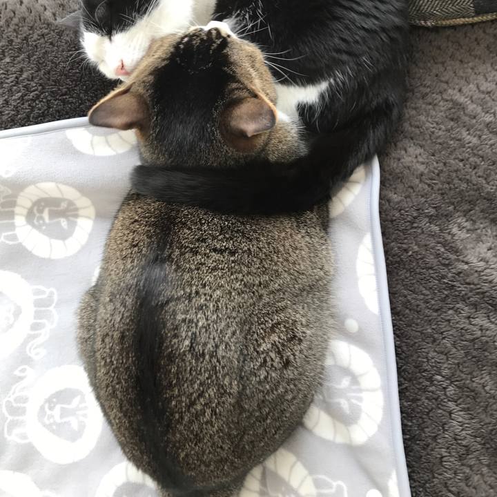 A296c82e 031f 434c b4d4 8eab327d648e