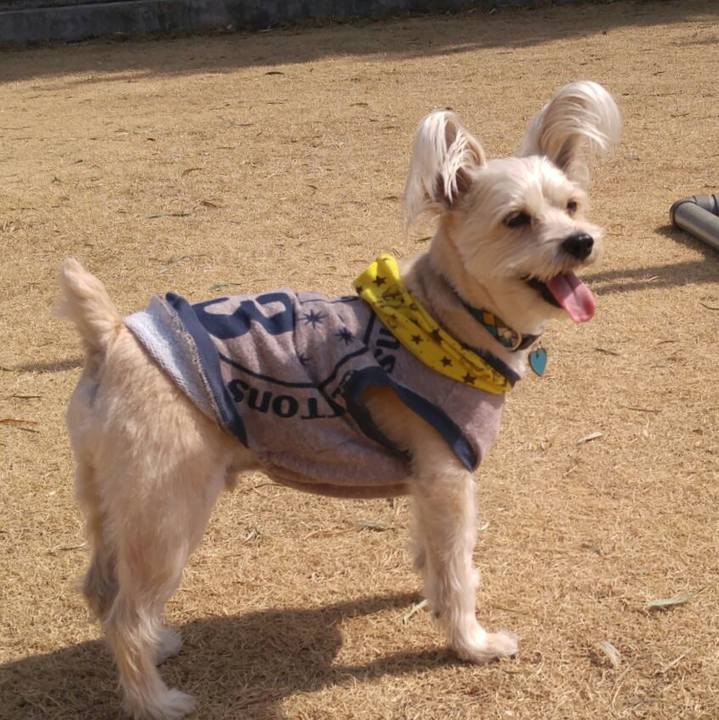 A2975af9 7a91 4789 8579 69ec64704e11