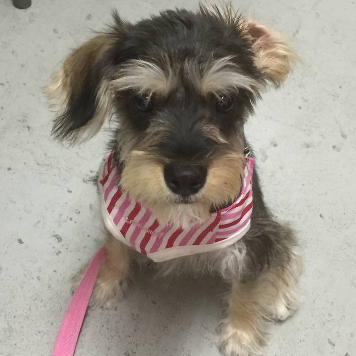 A2975f86 6661 4256 b796 fd2381d8f03c