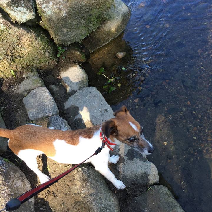 A298d295 11a9 4989 ade0 562c6d713b02