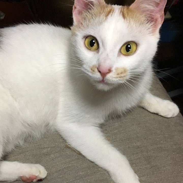 A298d9e8 c556 46c0 bf49 4d7b1d201876