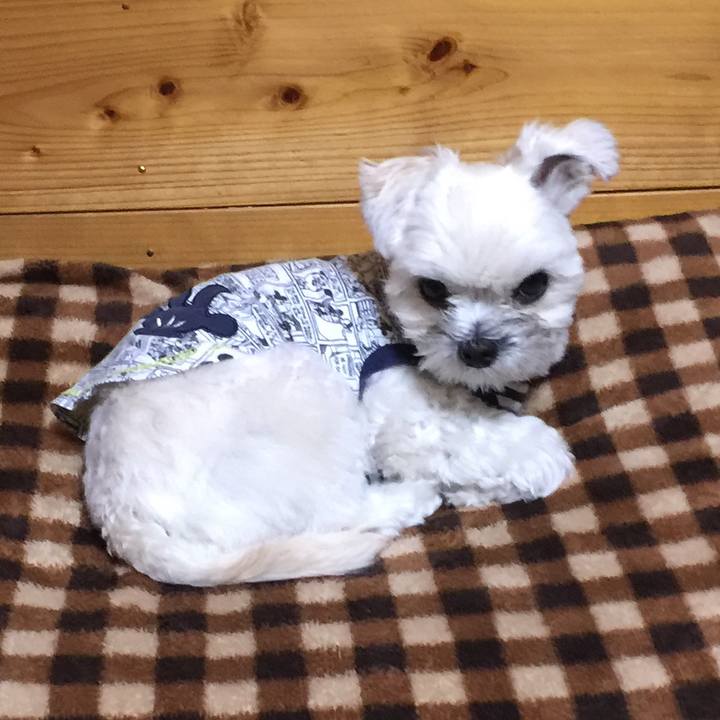 A29917f0 252d 470c 8b42 20e3449e99e9