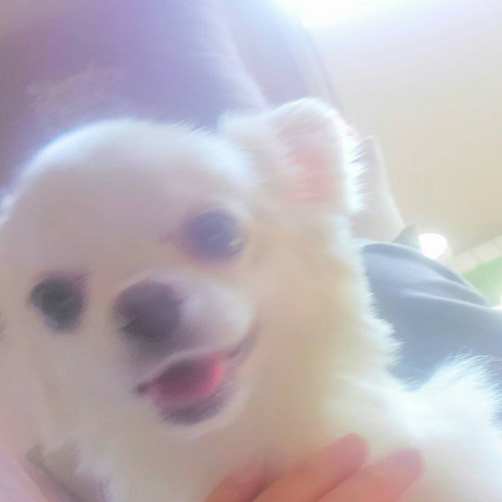 A299a1d9 dd70 453a a379 41affedd3dab