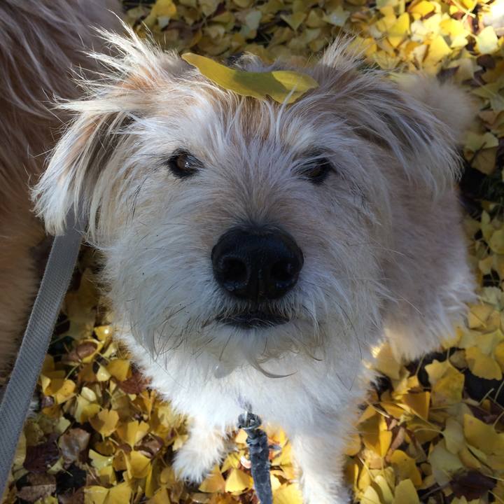 A299f736 3fae 4693 bea1 e85edb5d5588