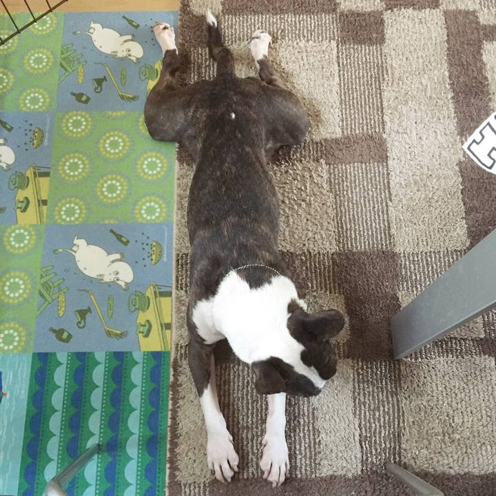 A29a02af 5513 4d8d b34d c6a67658ec77