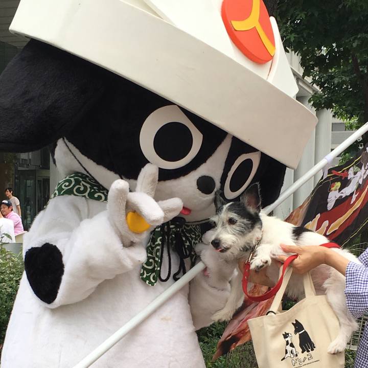 A29a112c 4d49 46ba b3b1 e836e6cb7a08