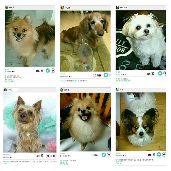 A29a5834 56c6 45bd bc70 1911b7d1ad6a