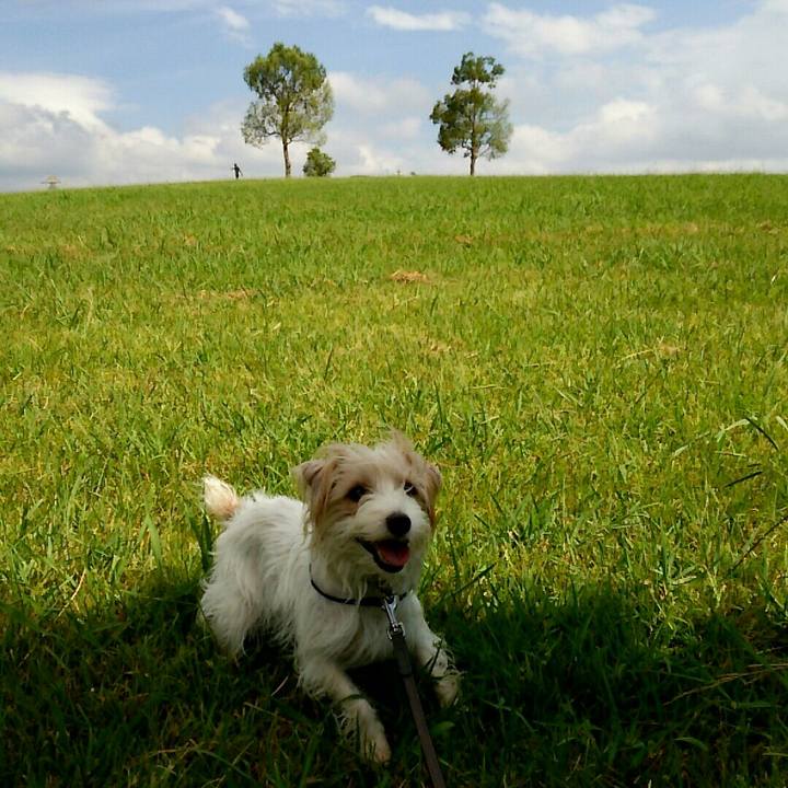 A29a785d 7044 4fa3 8c82 8edaa8d10464