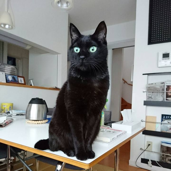 A29a9383 1b44 4e13 bdf2 64fc183ea232