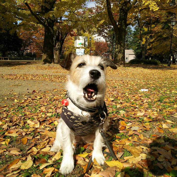 A29ad7c9 0386 4f90 8c79 05b41dbbfe29