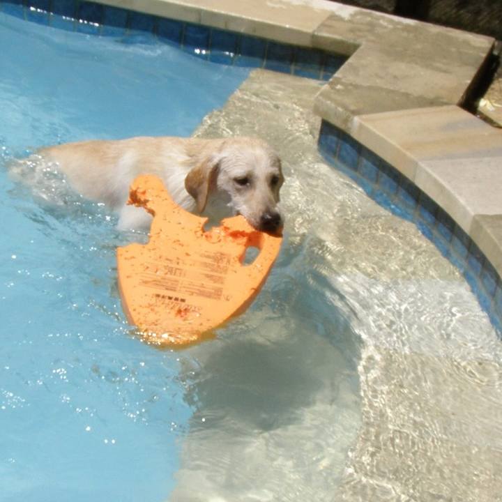 A29ade5a 1c63 465f a9cd 2714952dac21