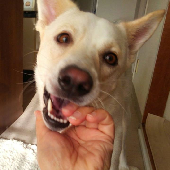 A29af8bf 3a03 42f9 83df 7e540a6fbc2c