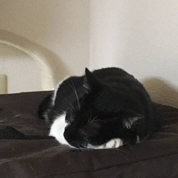 A29b28ee 11c4 4296 8920 d63c3478ea47