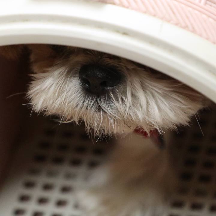 A29be143 f813 4c3f 83f0 db78454307ab