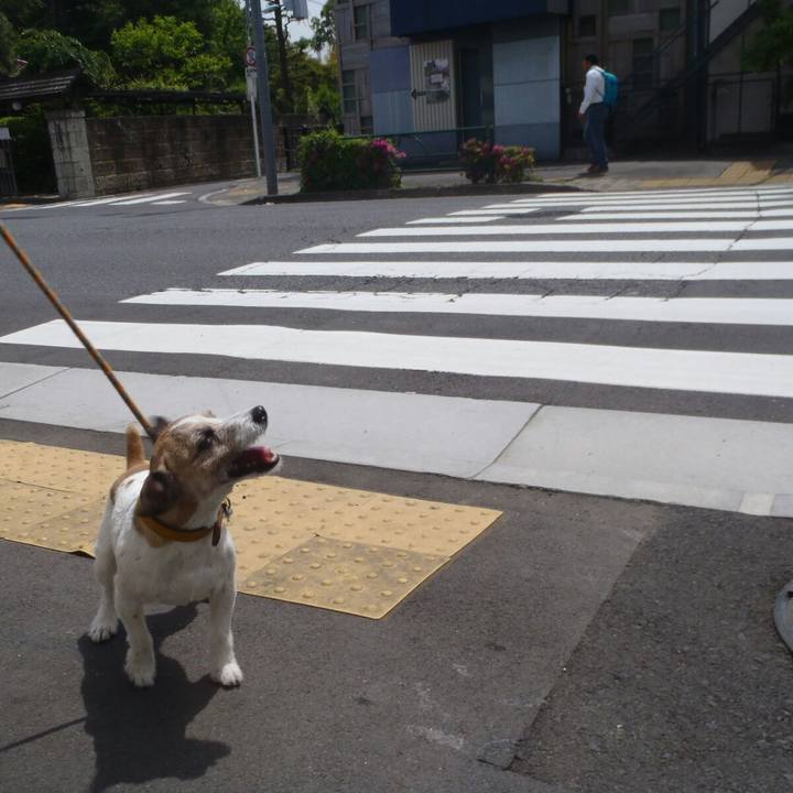 A29becbc 0d75 4635 9f79 62868bfa759c