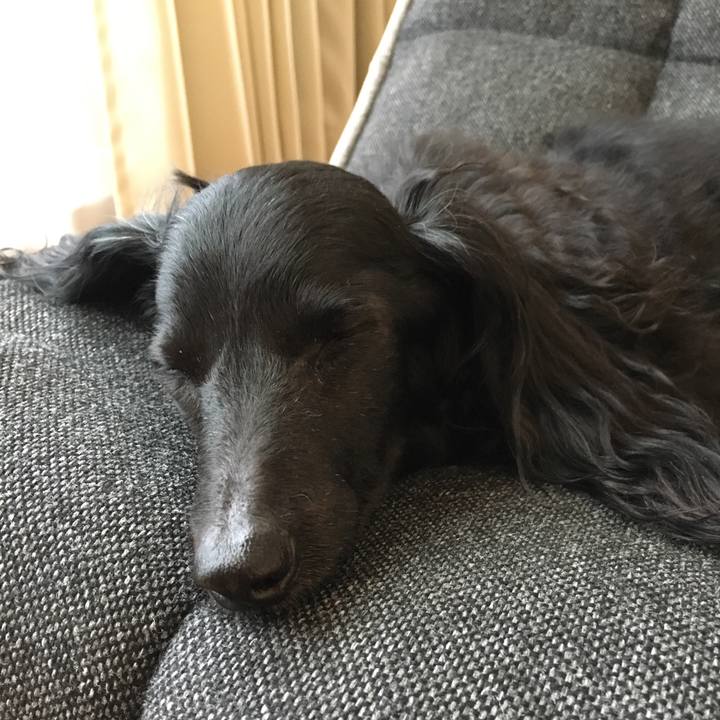 A29c18b4 167a 4fd0 8be2 1e00cde1e957