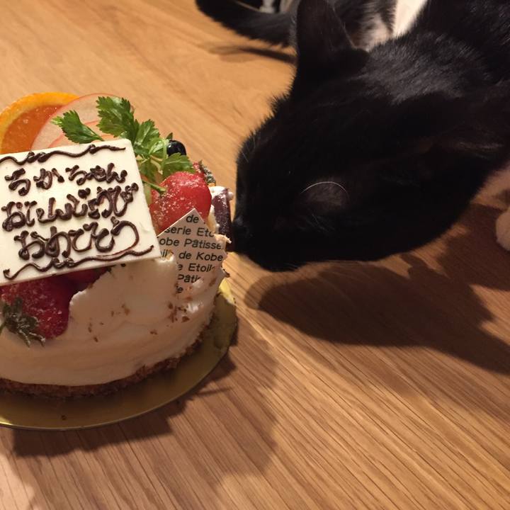 A29c2510 25f6 4347 85ca 7a854af51180