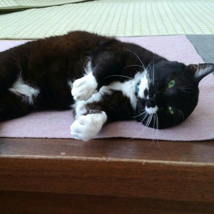 A29cc22b 6de9 41dc 9277 f011fddeff61