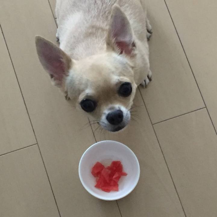 A29d1ba4 aec6 49b4 ad54 1b90ef1c147d