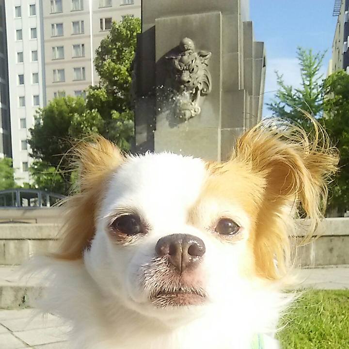 A29d1ce3 2b09 4971 a7c1 7a70b03e473d