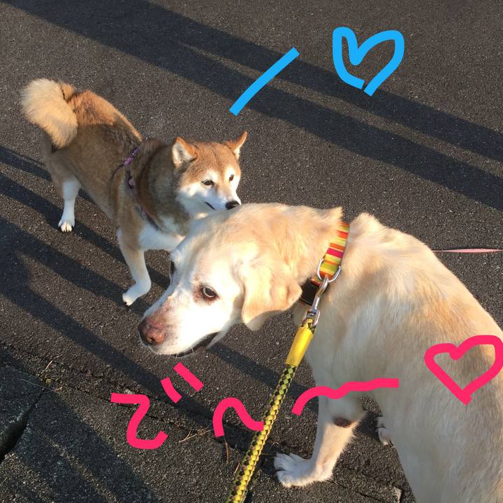 A29d6732 1d63 4a72 9d60 50a693ac847c