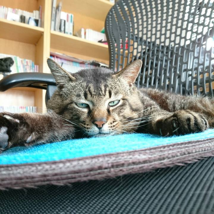 A29dcf02 1fb2 423c 8adc ddf654ad1df8