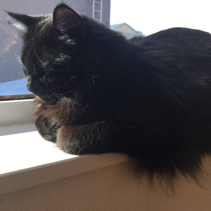 A29df4d8 bcc9 4782 af8f a5d1f2e38816