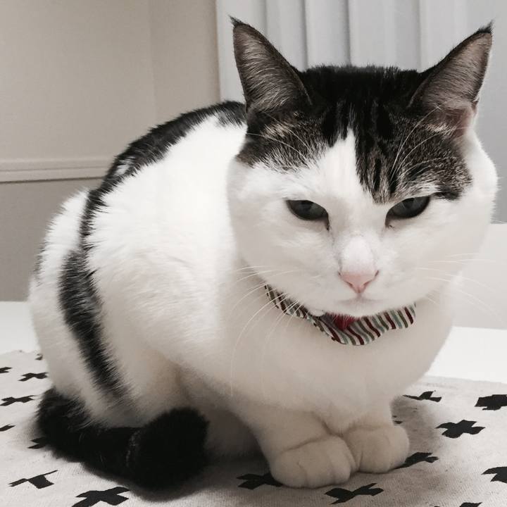 A29e8d67 a0fc 4640 a96a 0ade7a860486