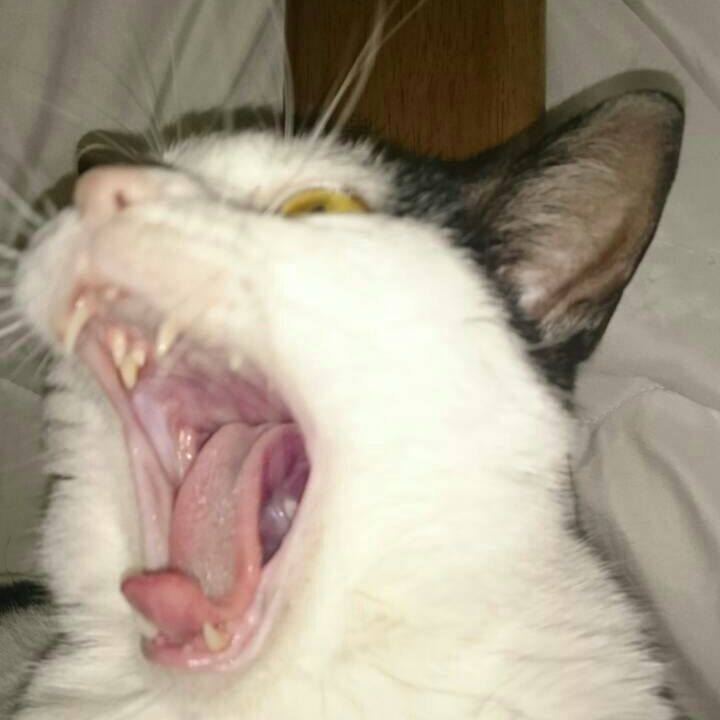 A29f47ea 3fe5 4e94 9018 7377d485bf99