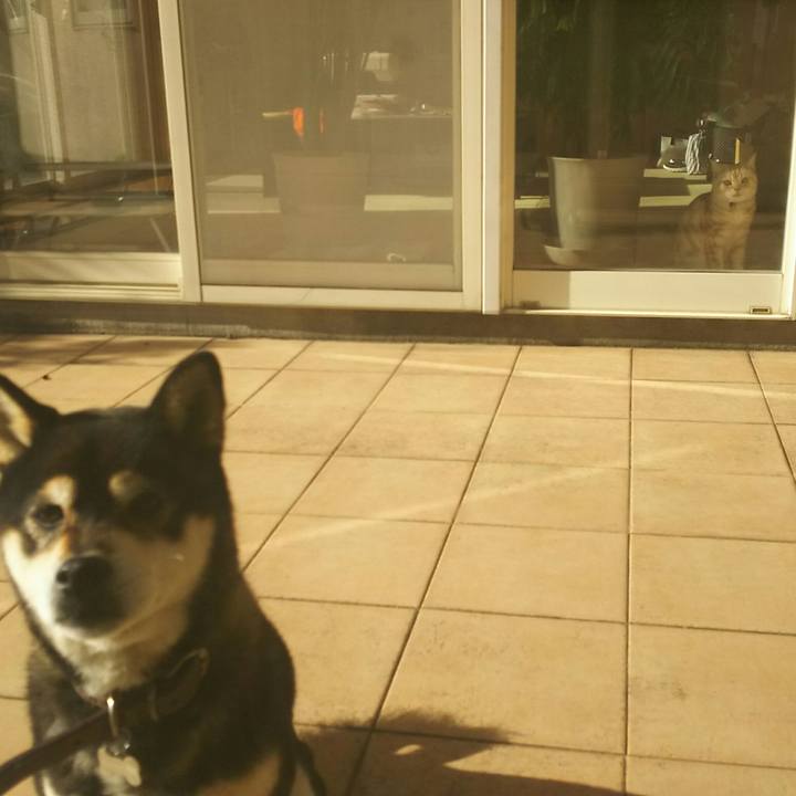 A2a00a1f 84d2 4625 8e6b 1b77585aa630