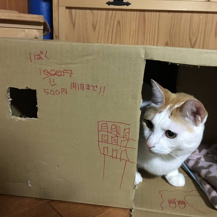 A2a0c7ce 1d9a 4e48 8aca b6f7b24f334a