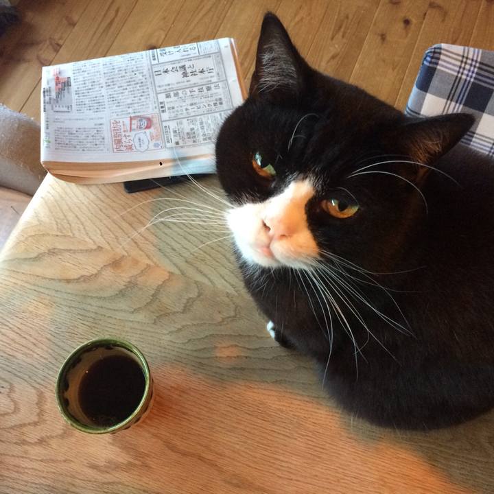 A2a14896 49a4 4b6c bf6b 24bab9f9123e