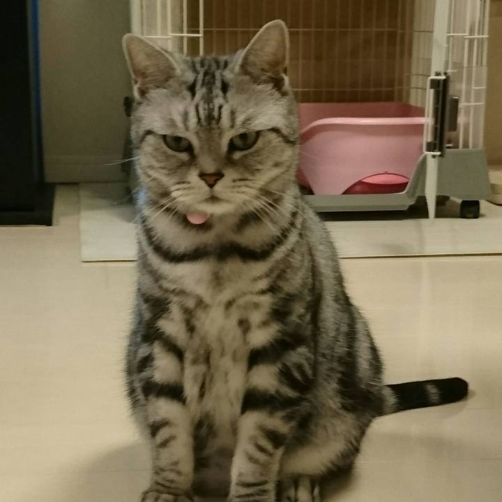 A2a1bda0 8b43 4c30 8656 8c47546d2446