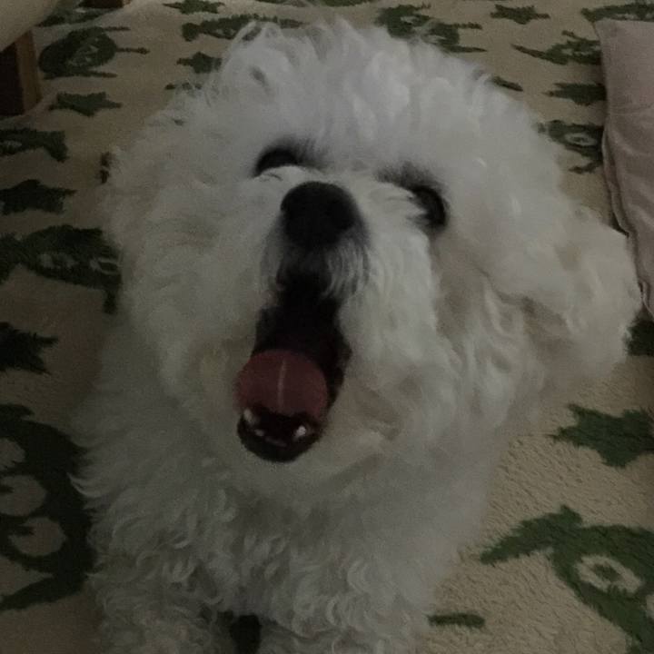 A2a2602e cb1f 443f 939c c261576b6d17