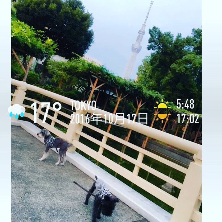 A2a2e2af d11a 4cbc b522 85bd9eb2f2aa