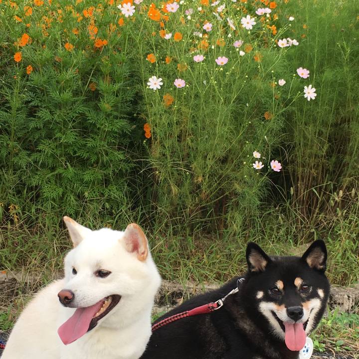 A2a33629 ecca 491c a7ec 6b83ee115bd5