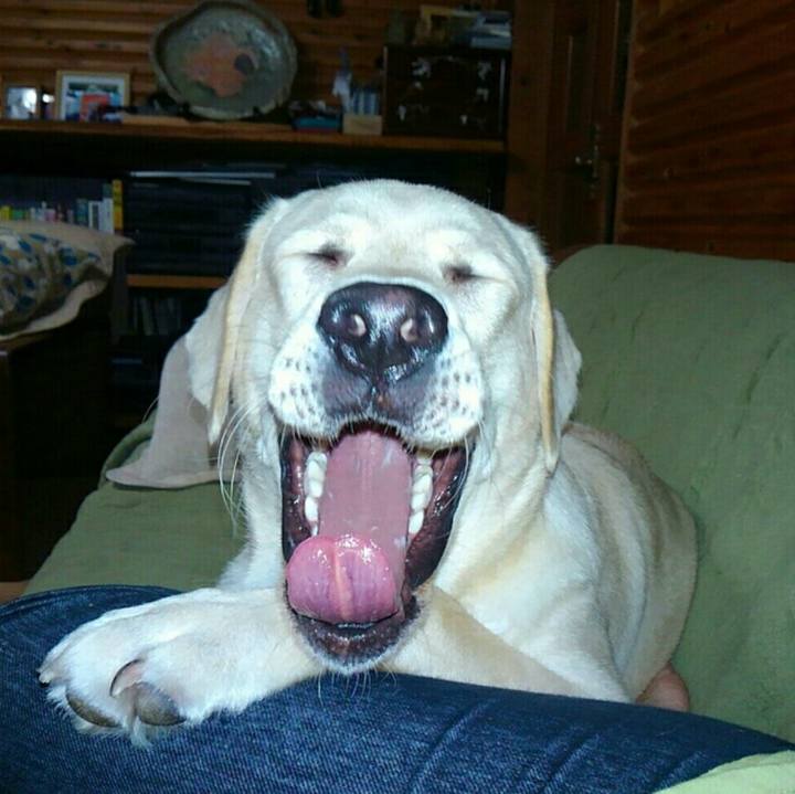 A2a3a26c 3a9a 40f5 9c3e 95c5f855471a